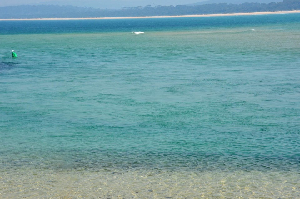 A Heartfelt Thank You 